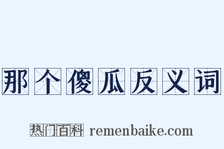 那个傻瓜反义词是什么意思的图片